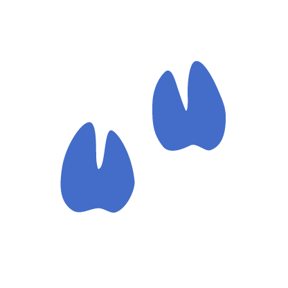 Chickens