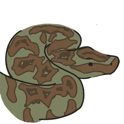 Pedro