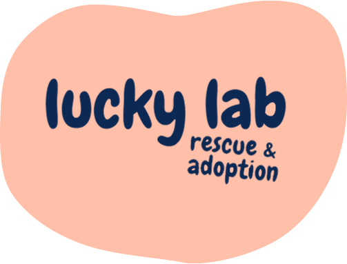 Lucky Lab logo